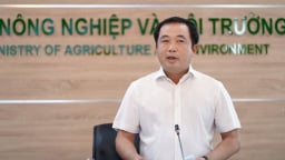 Bộ Nông nghiệp và Môi trường yêu cầu giải ngân 100% vốn đầu tư công