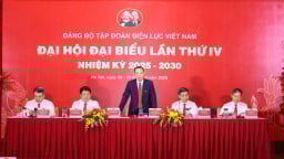 Phiên trù bị Đại hội đại biểu Đảng bộ EVN lần thứ IV, nhiệm kỳ 2025-2030