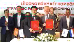 Hợp tác thúc đẩy sản xuất nông nghiệp xanh và bền vững tại Việt Nam