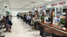 Đà Nẵng đẩy mạnh phân cấp, ủy quyền giải quyết thủ tục môi trường