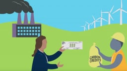 Công cụ mới thúc đẩy tham gia thị trường carbon toàn cầu