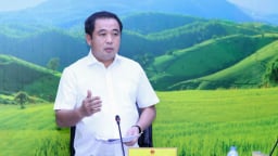 Ngành trồng trọt phải đạt tăng trưởng 2,4 – 2,9%, xuất khẩu 33 tỷ USD
