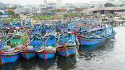 Đà Nẵng họp khẩn ứng phó bão số 5