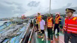 Đà Nẵng: Toàn bộ tàu thuyền đã vào nơi trú tránh an toàn