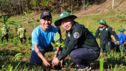 Giữ rừng và dựng tương lai xanh [Bài 1]: Từ mất rừng nghiêm trọng thành điểm tham chiếu toàn cầu