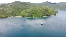 Thủy sản 'vững sóng' vươn tầm: [Bài 6] Nuôi biển, nối tương lai