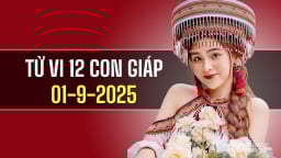Tử vi 12 con giáp ngày 1/9/2025: Người tuổi Hợi và Tuất gặp thuận lợi
