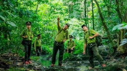 Giữ rừng và dựng tương lai xanh: [Bài 4] Từ khai thác sang bảo tồn