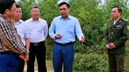 Giữ rừng và dựng tương lai xanh: [Bài cuối] Tham gia dòng chảy kinh tế carbon toàn cầu