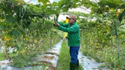 Nông thôn thông minh: Giải pháp ứng phó biến đổi khí hậu