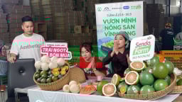 AI và thương mại điện tử giúp nông sản Việt vượt rào cản xuất khẩu
