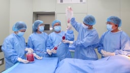 Thực hiện thành công ca ghép tủy đồng loại đặc biệt tại Huế