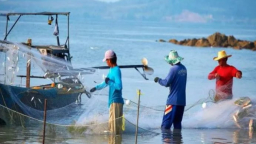Phát triển kinh tế biển xanh không chỉ dựa vào khai thác tiềm năng biển