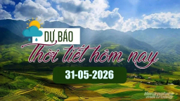 Tin tức thời tiết hôm nay 31/5/2026: Bắc Bộ nắng trở lại