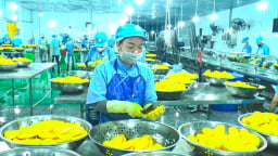 Sức bật của Thới Hưng từ liên kết sản xuất, chế biến nông sản