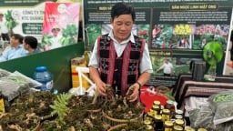 Đà Nẵng: Mở rộng thị trường cho 'quốc bảo' Việt Nam