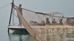 Đẩy mạnh tuyên truyền, trao quyền ngư dân bảo vệ 'nồi cơm' hồ Thác Bà