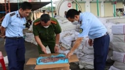 Chuyển cơ quan điều tra cơ sở kinh doanh thực phẩm giả