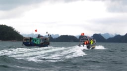Vân Đồn huy động hơn 20 tàu, xuồng tìm kiếm ngư dân mất tích