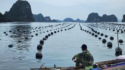 Đánh giá lại sức tải của biển: [Bài 3] Nỗi lo 'được mùa, mất giá'