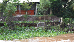 Dân cù lao Tân Phong mong kè chống sạt lở