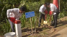 Bảo vệ môi trường phải đầy đủ, liên tục, chặt chẽ