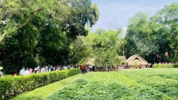 Nghệ An kết thúc 'kỳ nghỉ xanh' ấn tượng