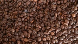 Xem xét thu mua nông sản có nguy cơ rớt giá trong mùa thu hoạch rộ