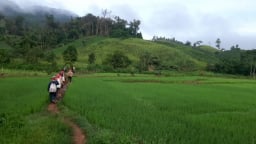 Tương lai 'nâng hạng' của Khu Dự trữ  thiên nhiên Mường Nhé bắt đầu từ 5 kỳ vọng