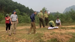Người dân Nghệ An được chi trả giảm phát thải khí nhà kính từ rừng