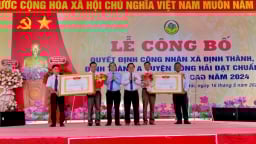 Đông Hải lập thêm 'cột mốc mới' trong hành trình nông thôn mới nâng cao