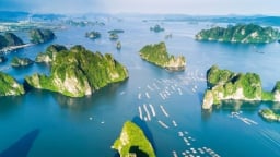 Đề xuất phân cấp 86 thẩm quyền của Bộ trưởng Bộ Nông nghiệp và Môi trường cho cấp tỉnh