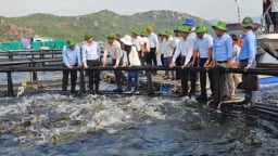Nuôi biển tiên tiến - xu hướng tất yếu: [Bài 3] Tạo động lực từ chính sách