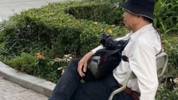 Vui buồn nghiệp chụp ảnh dạo
