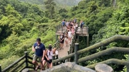 Du lịch sinh thái hòa vào thiên nhiên, tìm lại chính mình