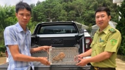 Những 'bước chân thầm lặng' bảo tồn động vật quý hiếm