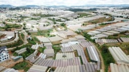 Mối nguy rác thải nhựa trong nông nghiệp