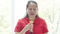 Kiến nghị mở rộng cảng cá Gò Găng để phát triển thủy sản xứng tầm