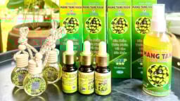 Nức tiếng sản vật Gia Lai: [Bài 2] Kết tinh dưới tán rừng bản địa