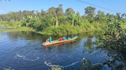 Cà Mau tạm ngưng cập nhật tình hình phòng cháy, chữa cháy rừng