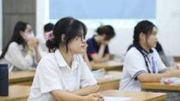 Bộ GD&ĐT yêu cầu rà soát và công bố thông tin tuyển sinh