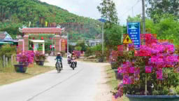 Diện mạo nông thôn mới ở Bình Định