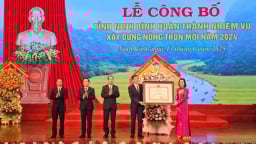 Nông thôn mới Ninh Bình bừng sáng sau chặng đường 15 năm
