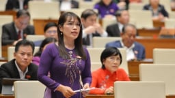 Đừng để môi trường trở thành gánh nặng, cản trở tăng trưởng