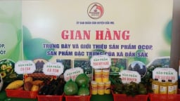 OCOP Đắk Mil khơi dậy tiềm năng, dựng xây nông thôn mới