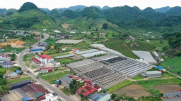 Sơn La vận hành 75 đơn vị cấp xã từ 1/7