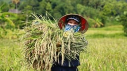 Tái cơ cấu nông nghiệp gắn xây dựng nông thôn mới