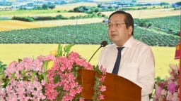 Long An công bố huyện Tân Trụ đạt chuẩn nông thôn mới nâng cao