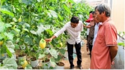 Trà Vinh: Thực hiện đạt và vượt 21/26 chỉ tiêu Nghị quyết đề ra