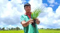 Nông nghiệp sinh thái: Cần thu hẹp khoảng cách giữa chính sách và thực tiễn